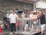 湖南多人模仿浸猪笼后续：细节辣眼睛官方回应来了果然有猫腻